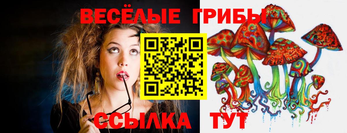 Галлюциногенные грибы мухоморы Дзержинск